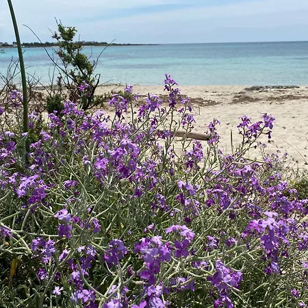 Διαμέρισμα Odetta - Est Torre Colimena