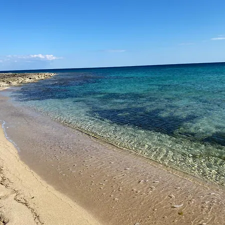 Odetta - Est Torre Colimena