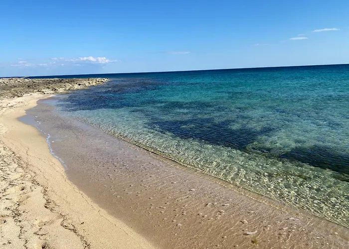 Odetta - Est Torre Colimena