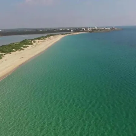 Odetta - Est 토레 콜리메나