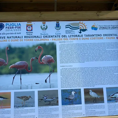 아파트 Odetta - Est *