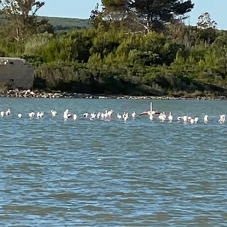 Odetta - Est 아파트 토레 콜리메나