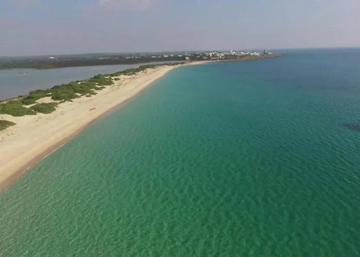 Odetta - Est Torre Colimena