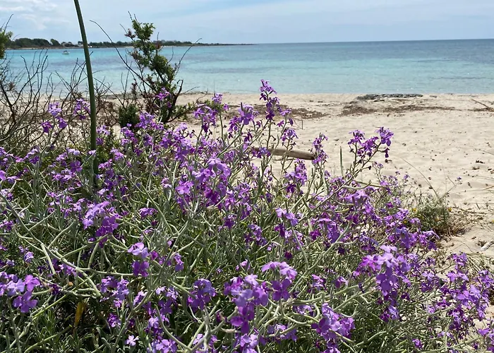 Appartement Odetta - Est Torre Colimena